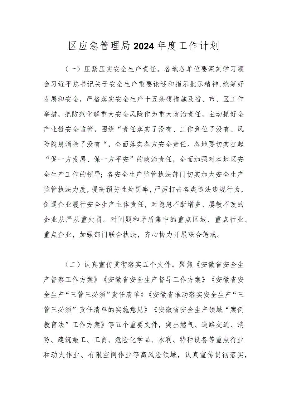 区应急管理局2024工作计划.docx_第1页