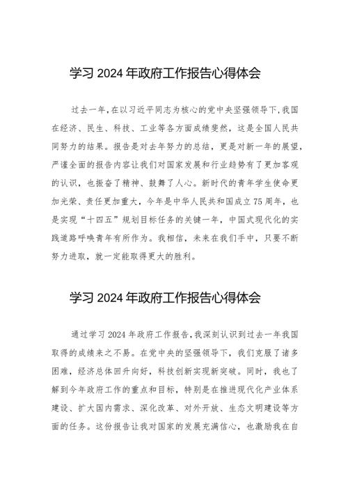研读2024年两会政府工作报告心得感悟二十篇.docx
