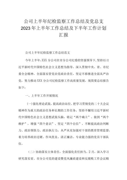 公司上半年纪检监察工作总结及党总支2023年上半年工作总结及下半年工作计划汇报.docx