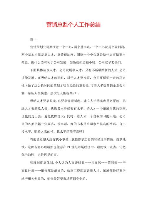 营销总监个人工作总结.docx