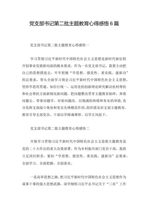 党支部书记第二批主题教育心得感悟6篇.docx