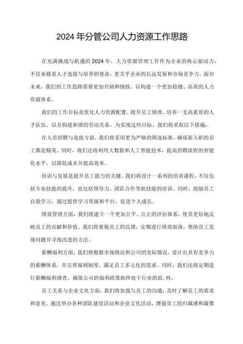 2024年分管公司人力资源工作思路.docx