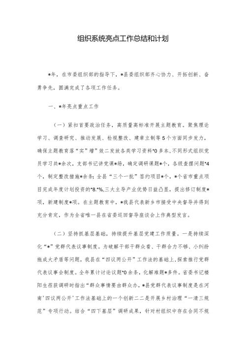 组织系统亮点工作总结和计划(1).docx