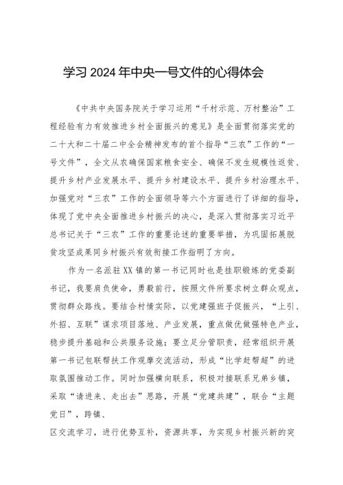 学习2024年中央一号文件的心得体会精选范文22篇.docx