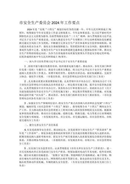 市安全生产委员会2024年工作要点.docx