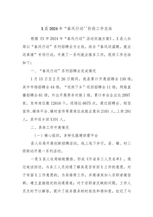 X县2024年“风行动”阶段工作总结.docx