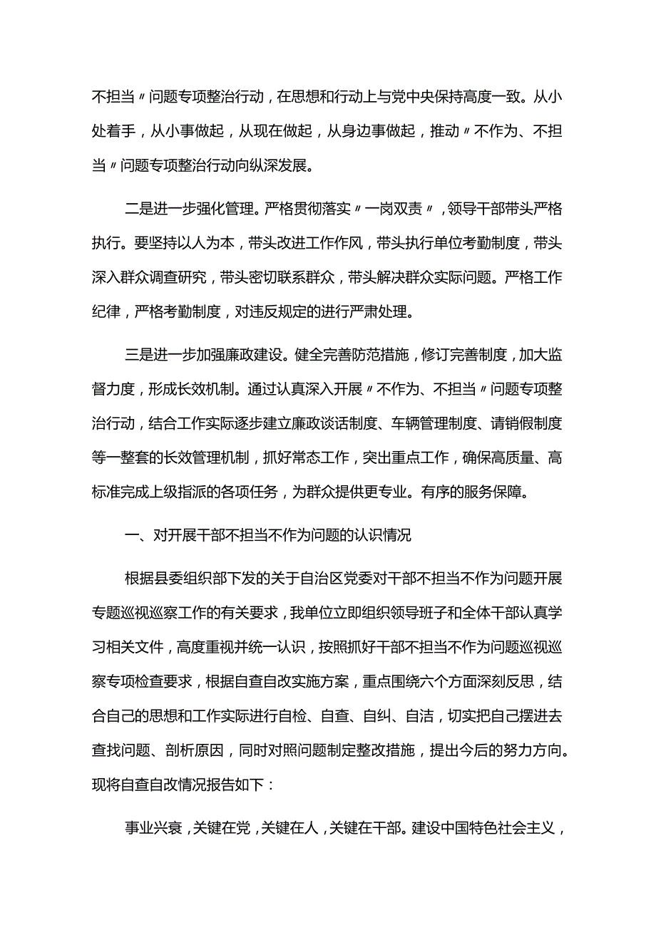 “不担当、不作为”问题专项整治自纠自查报告6篇.docx_第3页
