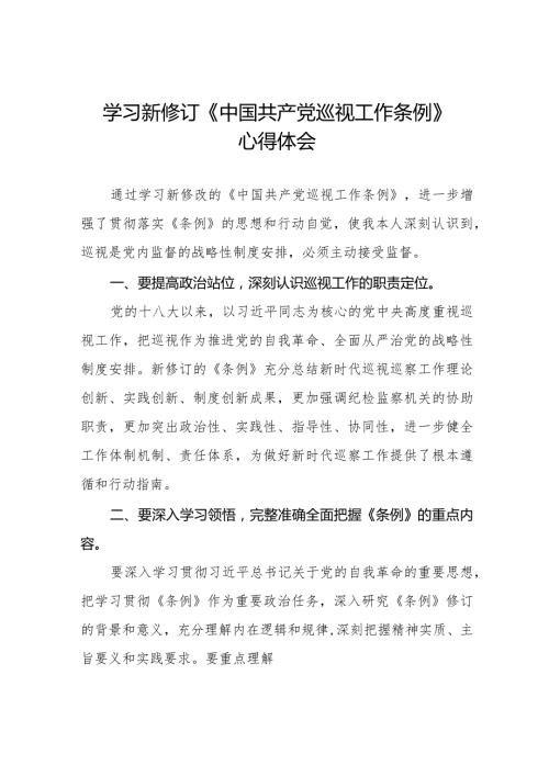 学习新修订《中国共产党巡视工作条例》感想体会11篇.docx