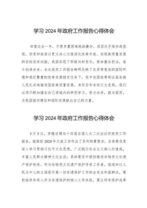 2024年政府工作报告心得体会发言稿40篇.docx
