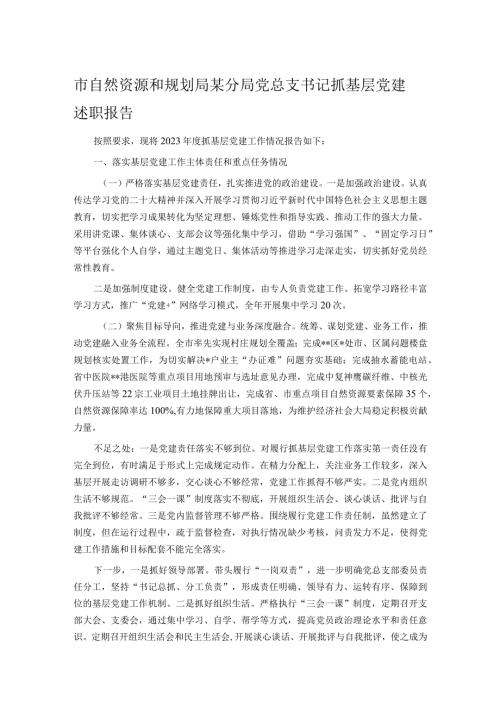 市自然资源和规划局某分局党总支书记抓基层党建述职报告.docx
