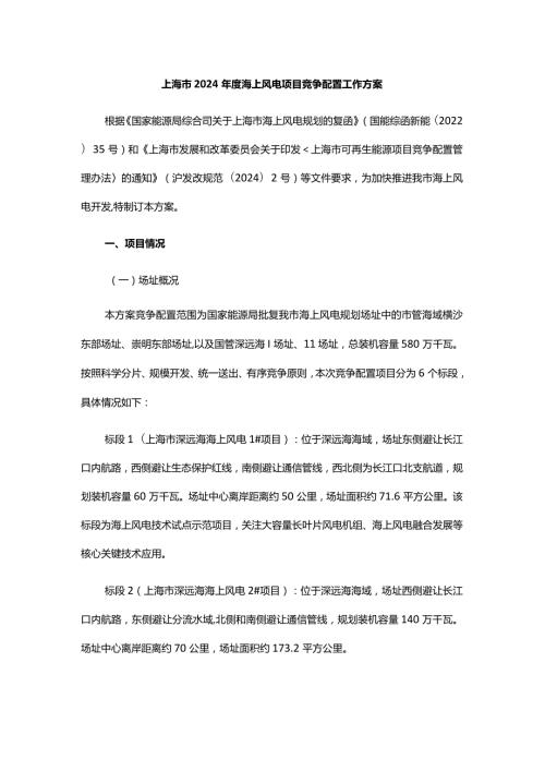 上海市2024海上风电项目竞争配置工作方案.docx