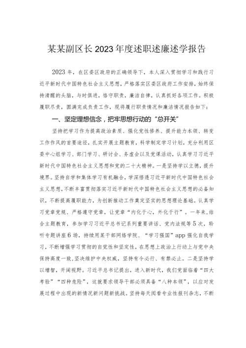 某某副区长2023述职述廉述学报告.docx