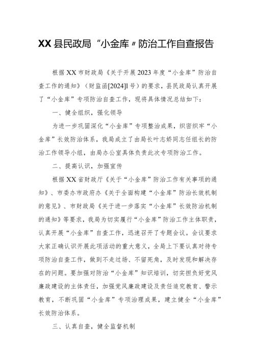 XX县民政局“小金库”防治工作自查报告.docx
