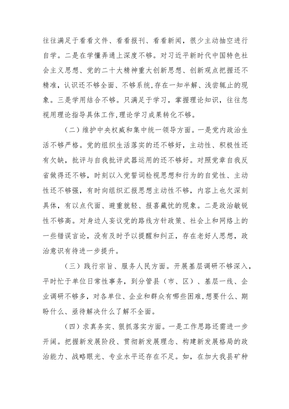 2024对照树立和践行正确政绩观及反面典型案例检视全面梳理问题深刻剖析原因整改整治剖析八个方面专题民主生活会对照检查发言材料.docx_第2页