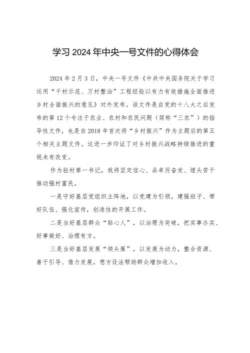 村干部学习2024年中央一号文件的心得体会22篇.docx