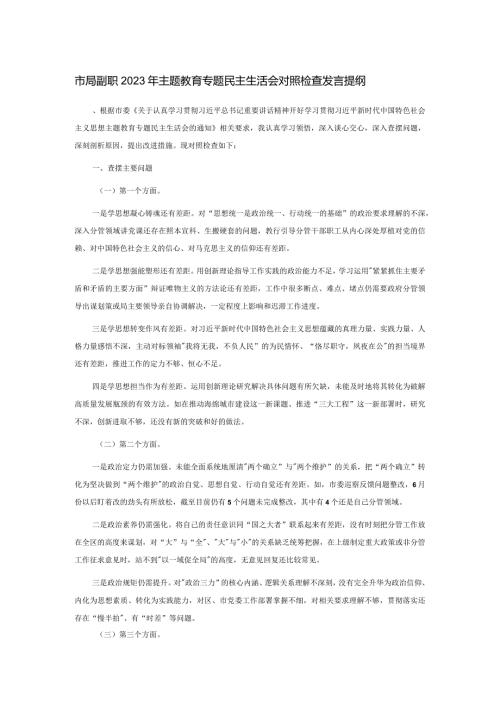 市局副职2023年主题教育专题民主生活会对照检查发言提纲(1).docx