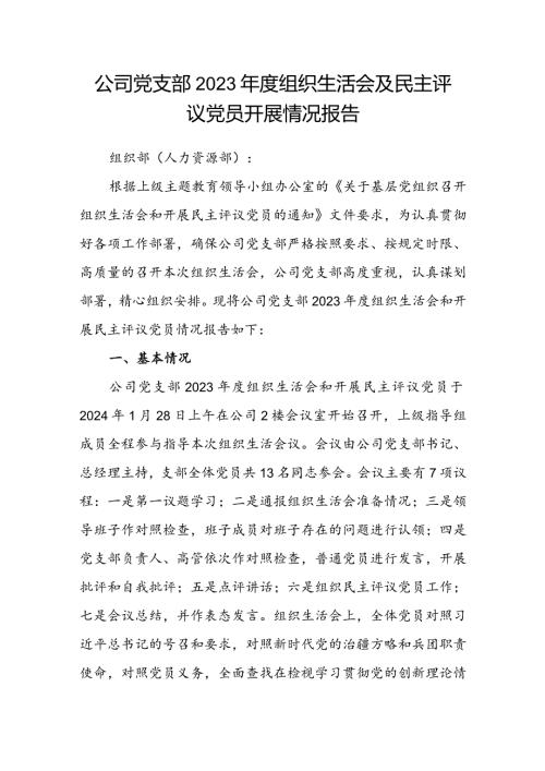 公司党支部2023组织生活会及民主评议党员开展情况报告.docx