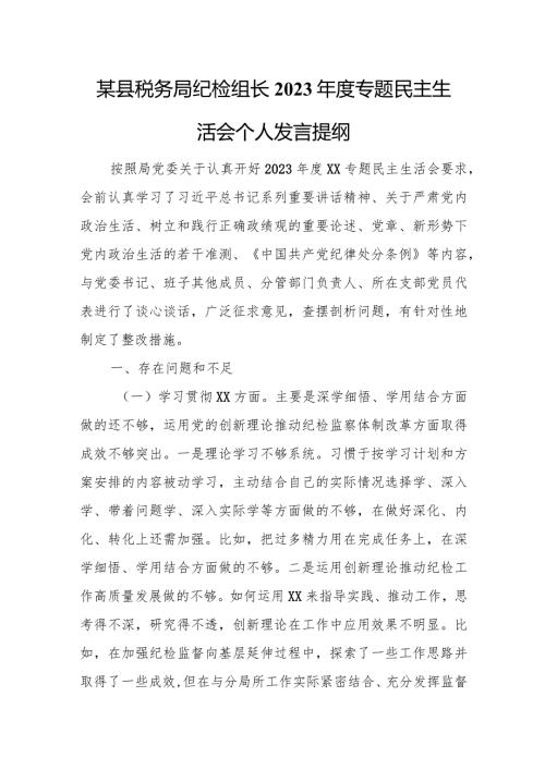 某县税务局纪检组长2023专题民主生活会个人发言提纲.docx