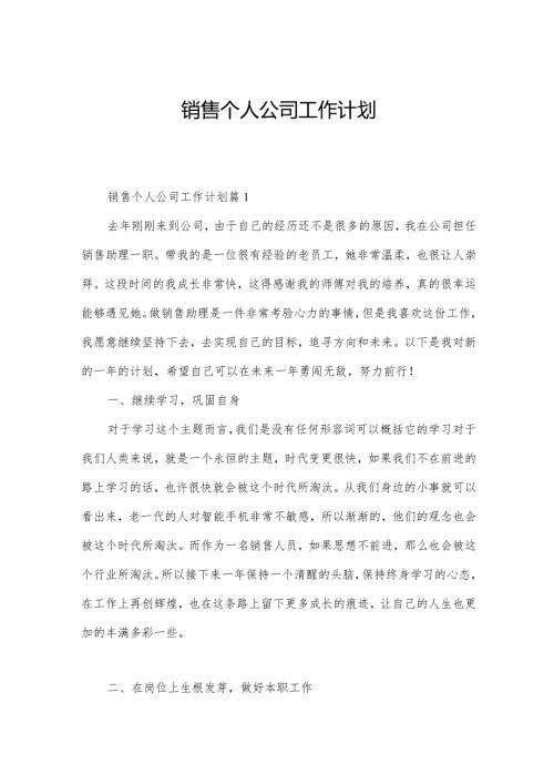销售个人公司工作计划.docx