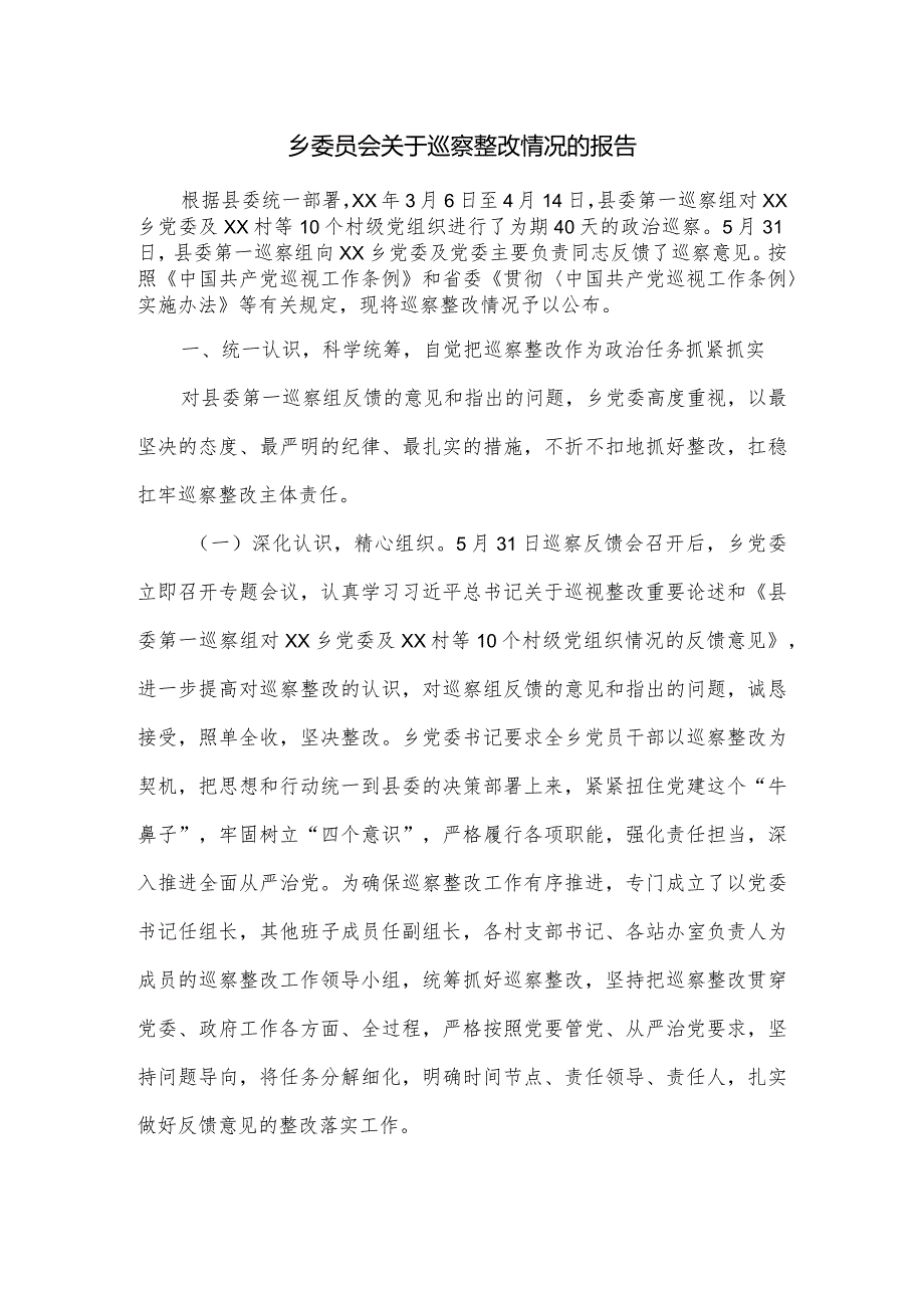 乡委员会关于巡察整改情况的报告.docx_第1页