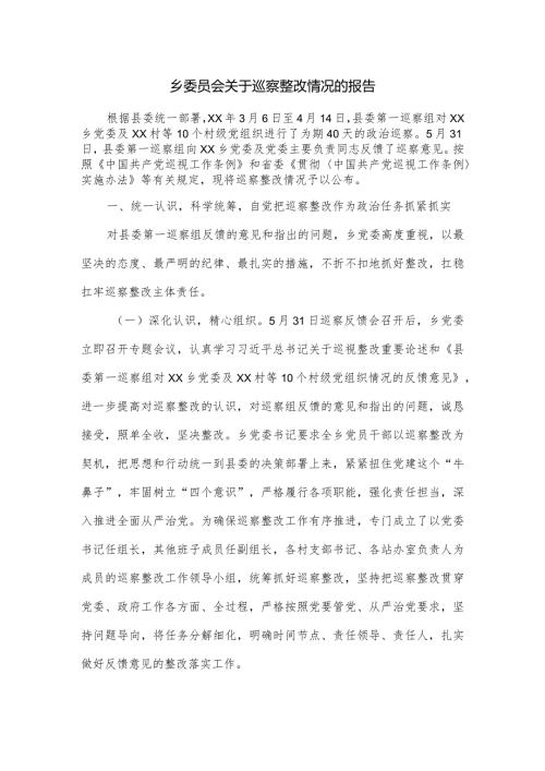乡委员会关于巡察整改情况的报告.docx