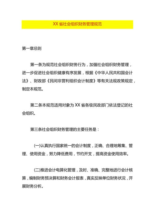 社会组织财务管理规范.docx