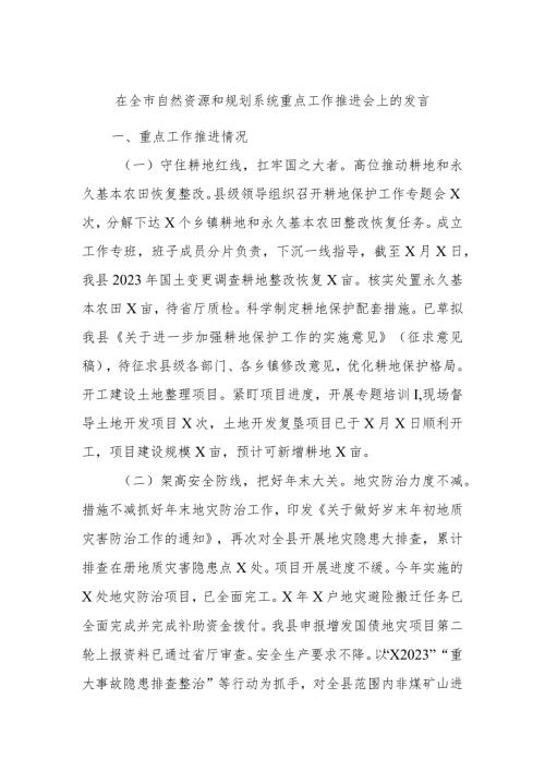 在全市自然资源和规划系统重点工作推进会上的发言 (2).docx