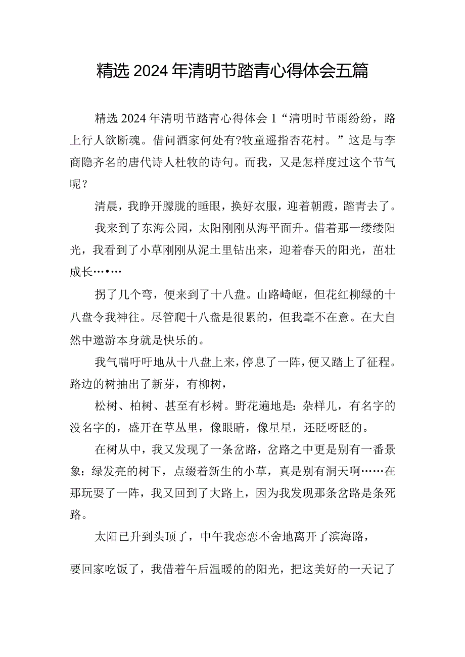 精选2024年清明节踏青心得体会五篇.docx_第1页