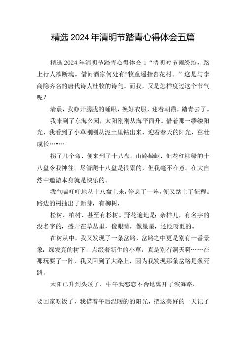 精选2024年清明节踏青心得体会五篇.docx