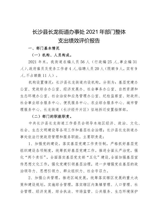 长沙县长龙街道办事处2021年部门整体支出绩效评价报告.docx