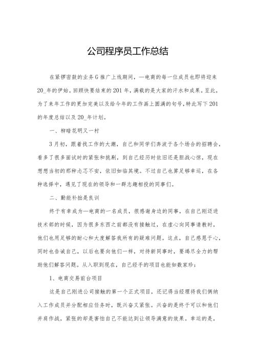 公司程序员工作总结.docx
