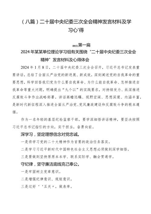 （八篇）二十中央纪委三次全会精神发言材料及学习心得.docx