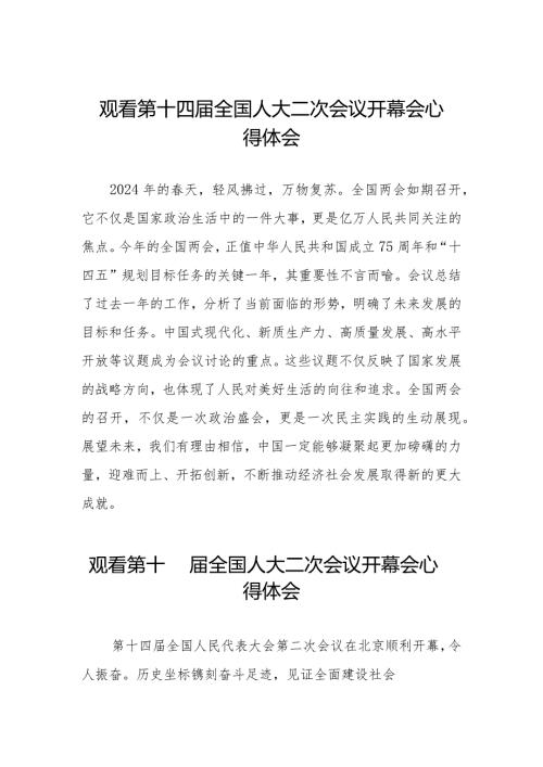 2024全国两会第十四全国人大二次会议开幕会心得体会五十篇.docx