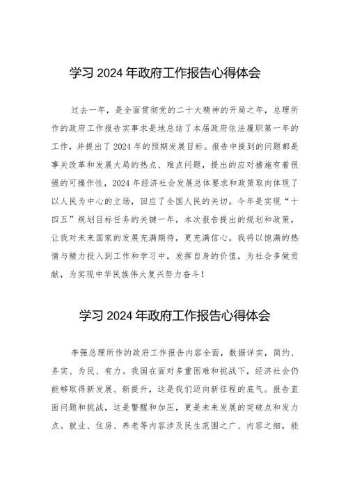 2024年两会《政府工作报告》学习体会发言稿40篇.docx