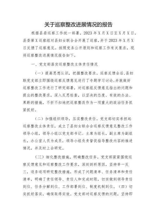 妇联巡察整改进展情况报告（7700字总结）.docx