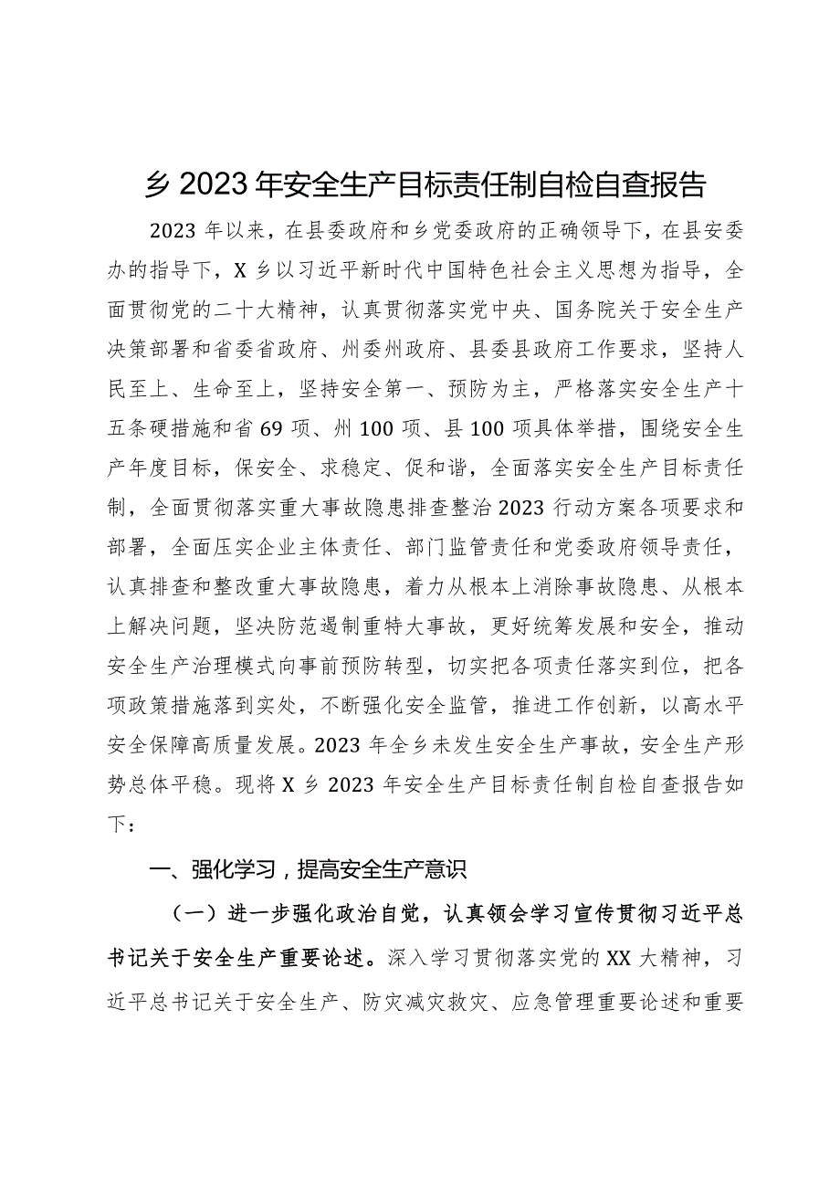 乡2023年安全生产目标责任制自检自查报告(1).docx_第1页