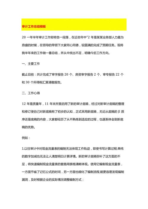审计工作总结模板.docx