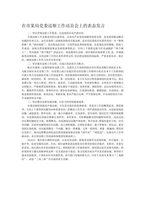 在市某局党委巡察工作动员会上的表态发言.docx