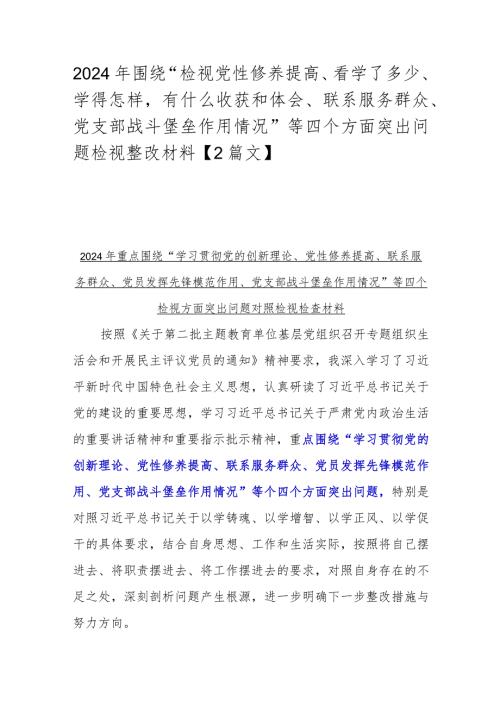2024年围绕“检视党性修养提高、看学了多少、学得怎样有什么收获和体会、联系服务群众、党支部战斗堡垒作用情况”等四个方面突出问题检视.docx
