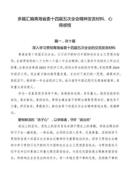 多篇汇编青海省委十四五次全会精神发言材料、心得感悟.docx