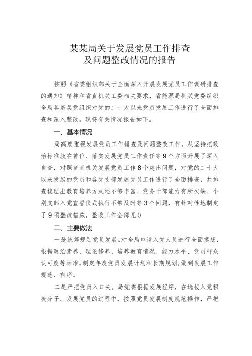 某某局关于发展党员工作排查及问题整改情况的报告.docx