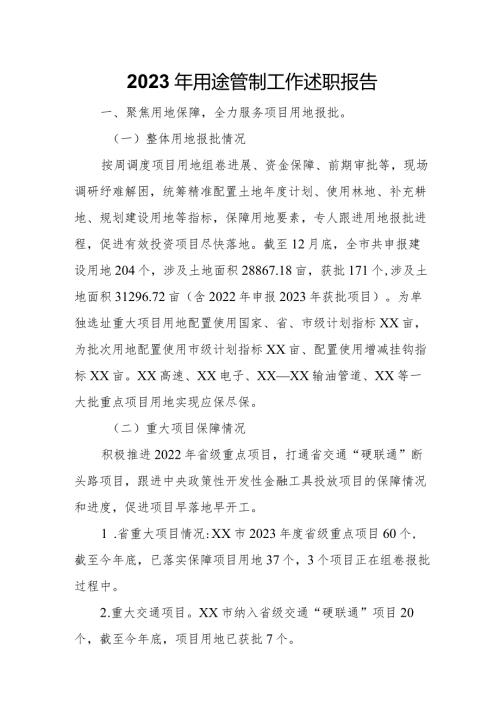 2023年用途管制工作述职报告.docx