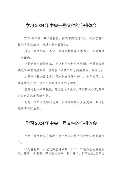驻村干部学习2024年中央一号文件的心得体会十四篇.docx