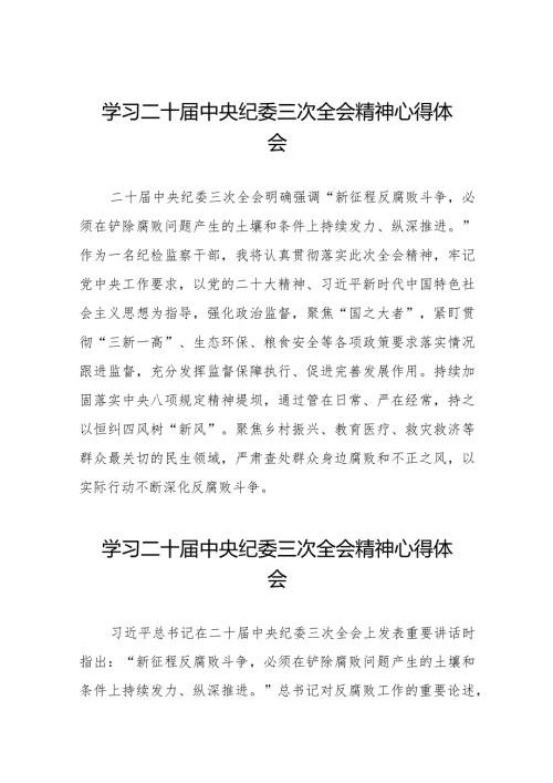 二十中央纪委三次全会精神学习体会发言稿(25篇).docx