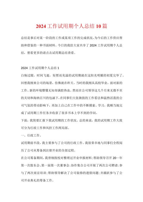 2024工作试用期个人总结10篇.docx