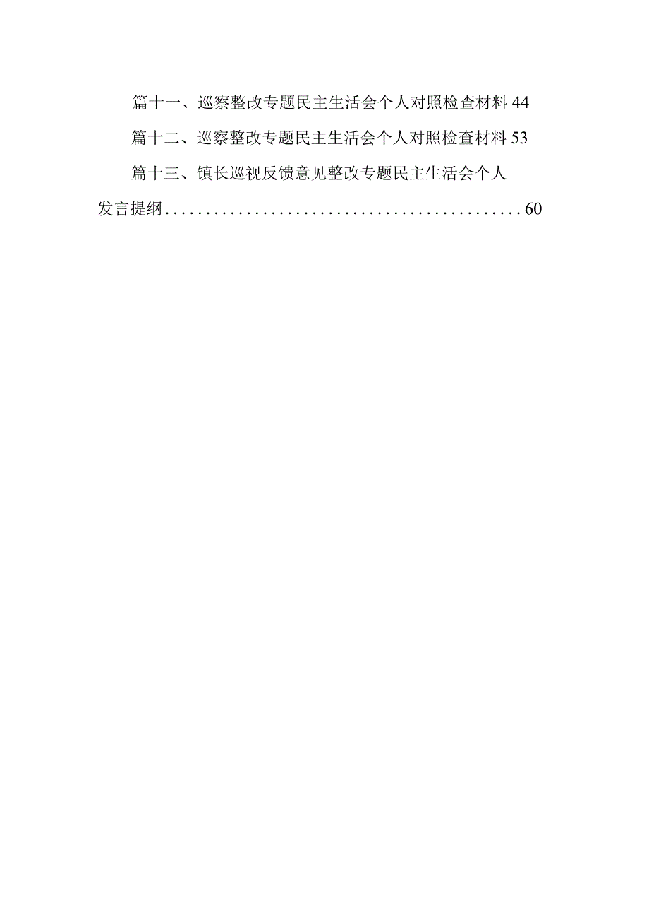 巡察整改专题民主生活会个人对照检查材料(13篇合集）.docx_第2页