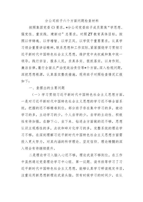 分公司班子六个方面问题检查材料.docx
