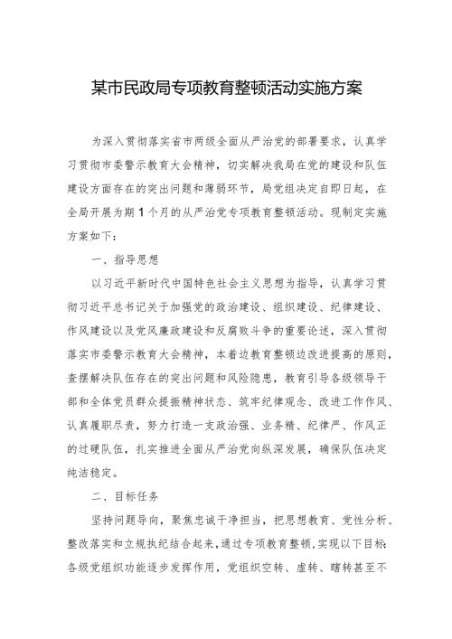 某市民政局专项教育整顿活动实施方案.docx
