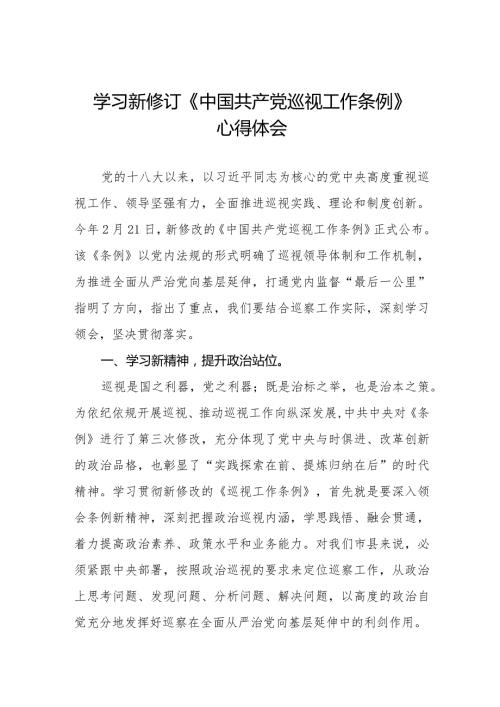 2024年新版《中国共产党巡视工作条例》学习心得体会五篇.docx