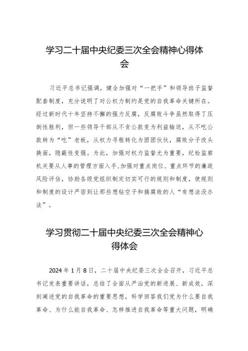 二十中央纪委三次全会精神学习心得体会(25篇).docx
